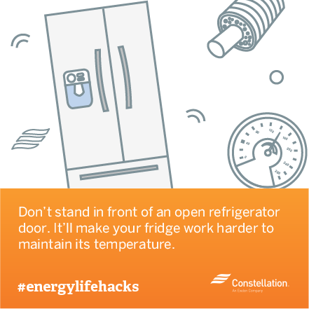 energy saving tip - dont stand in front of open fridge