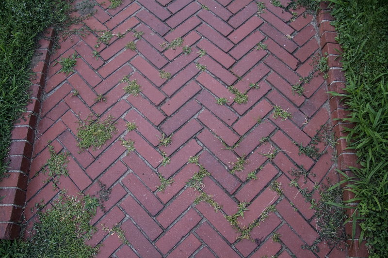 Укладка елочкой тротуарной плитки в саду